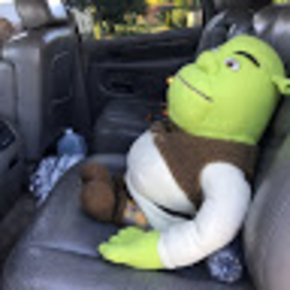 beanyboomer